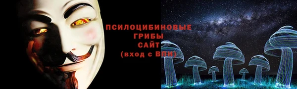 ECSTASY Медвежьегорск