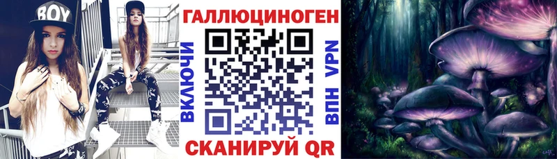 OMG ССЫЛКА Абакан Псилоцибиновые грибы мицелий дарнет шоп