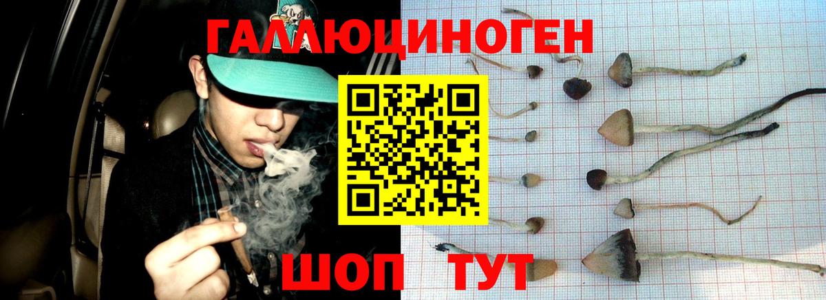 Галлюциногенные грибы мухоморы Абакан