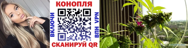 Шишки марихуана семена Абакан
